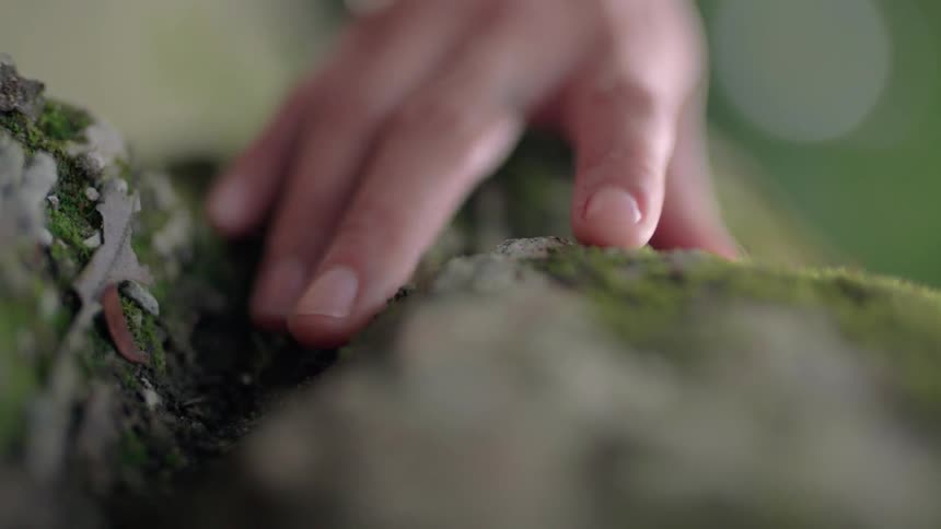 A person runs their hand along mossy rocks