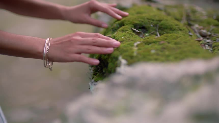 A woman rubs moss on a rock