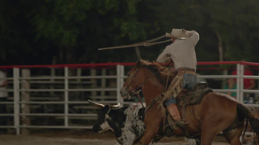 A cowboy chases a bull on horseback with a lasso