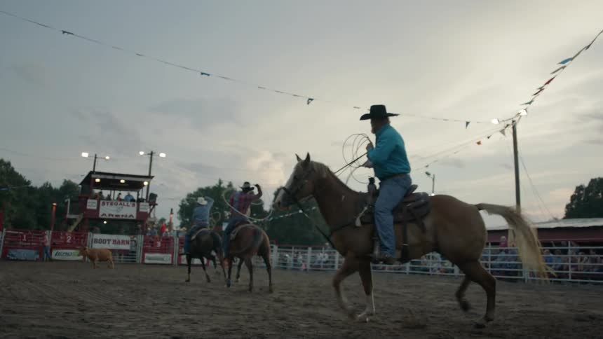 People ride horses trying to catch an animal in the rodeo