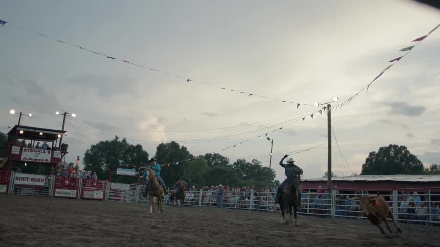 Cowboys in a rodeo ring lasso a steer
