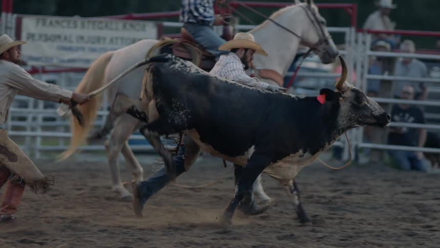 Bull ropers wrestle with a bucking bull