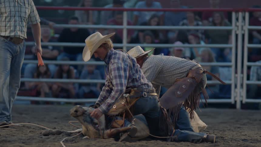 Two bull ropes tie a bull