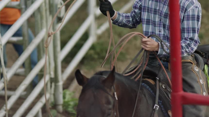 A cowboy at a rodeo is preparing to rope an animal with a lasso