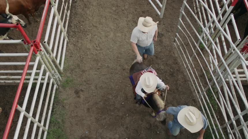 Cowboys lead a child on a horse