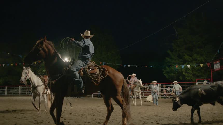 Bull ropers pull a caught bull in a rodeo arena