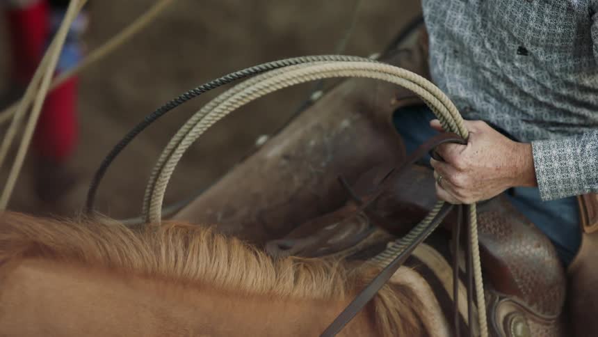 Man sits on a horse and holds a coiled rope