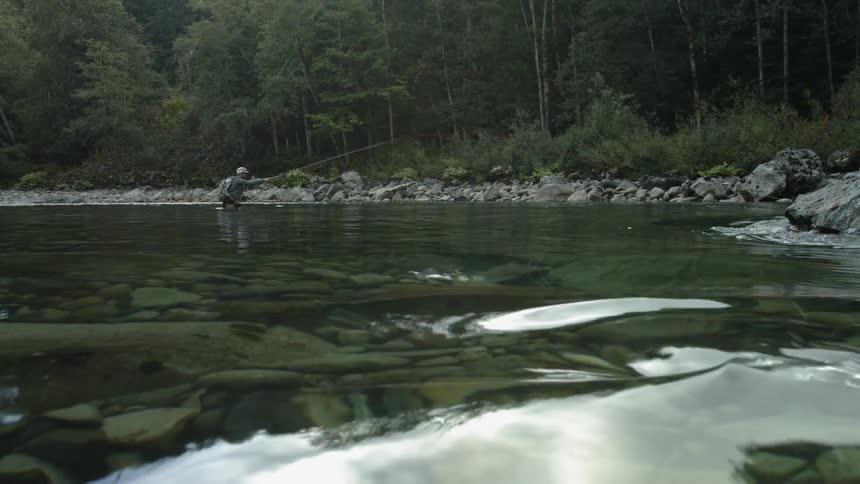 A man fishes in a forest river