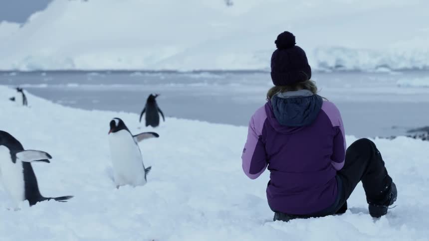 A woman photographs penguins in the snow