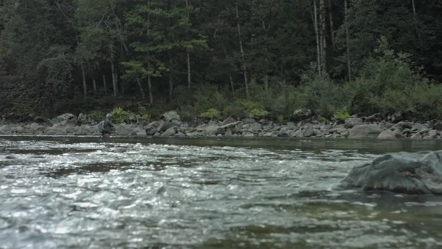 A man fly fishes in a stream