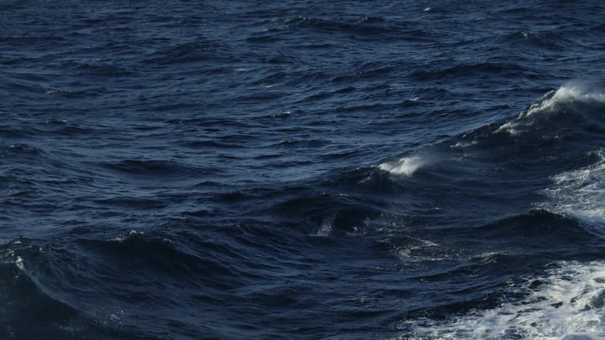 Waves rock on the ocean waters
