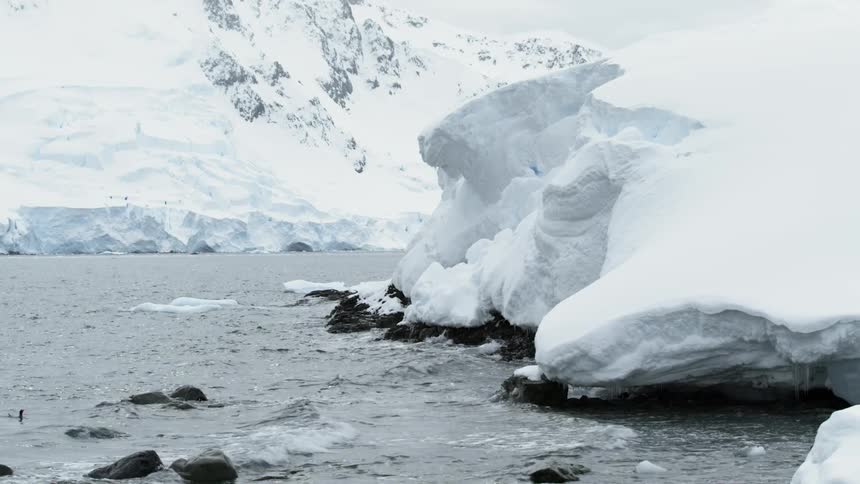 Water crashes into a showy shore