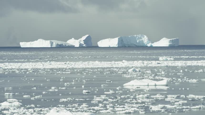 Ice floats in Antarctica as it breaks off the ice sheet