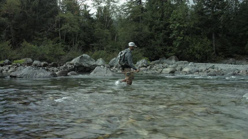 Man walks through a stream carrying a fly fishing rod