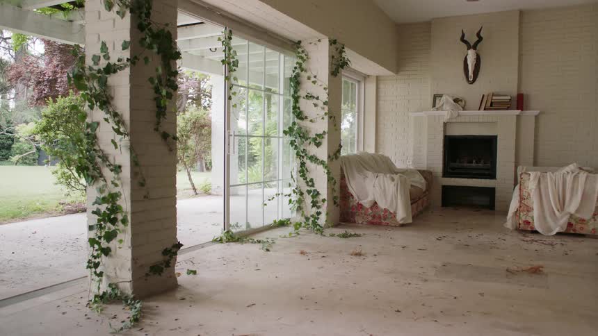 Vines grow in an abandoned house