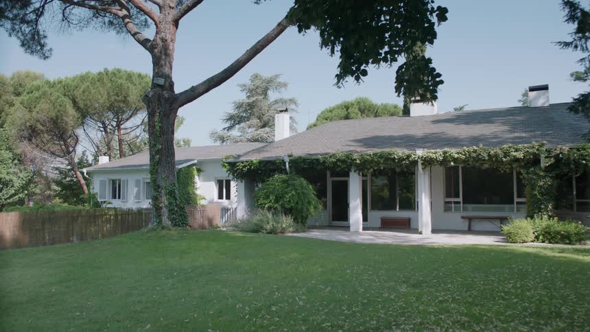 Leaves and branches sway gently in the breeze outside of a house