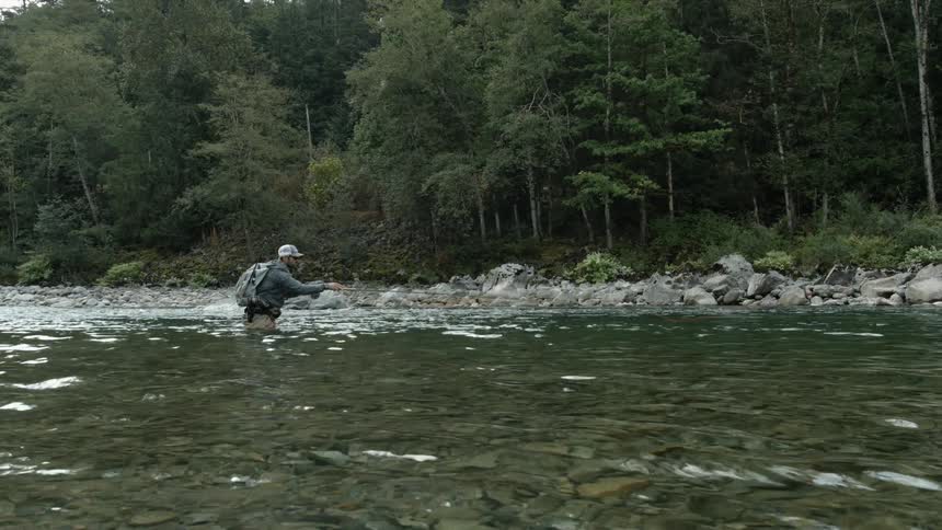 Man fly fishing in a stream near the forest