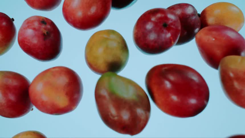 Mangoes fall through the air