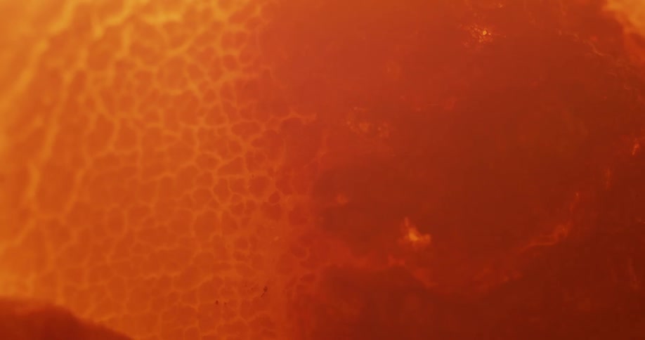 Orange surface darkens and bubbles as it heats
