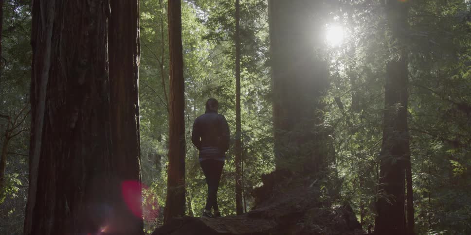 Woman walks through the forest on a sunny day