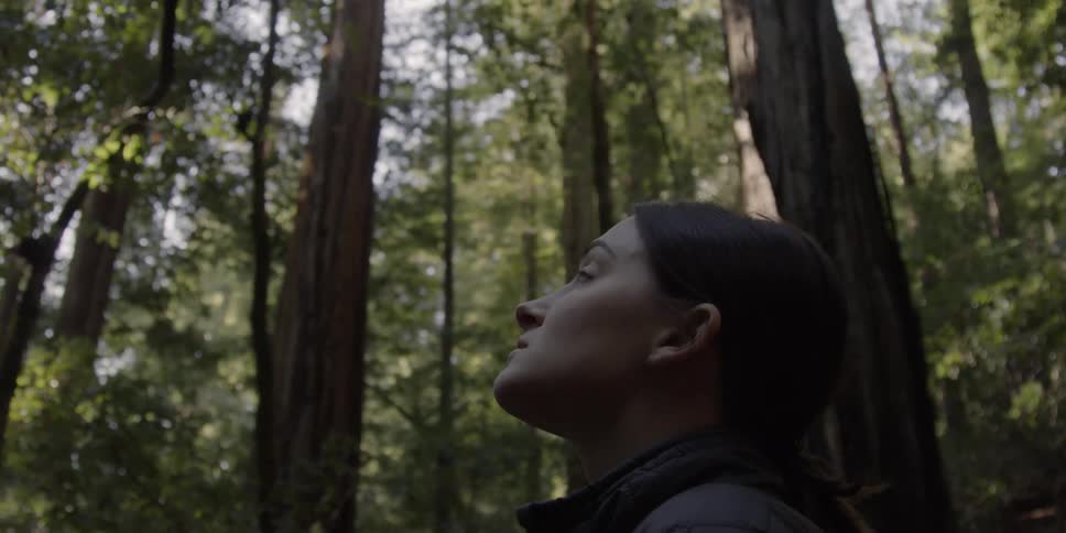 Woman looks up at the tall trees in a forest