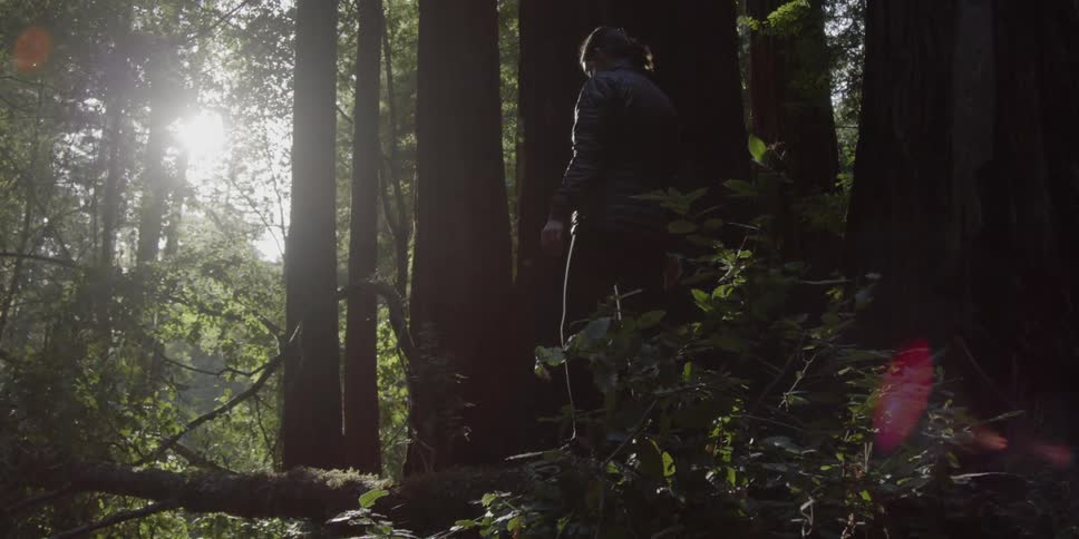 A woman walks across a fallen tree