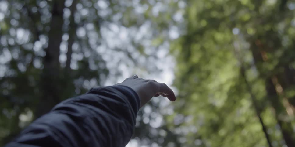 Hand pointing towards the sky through some tree limbs and leaves