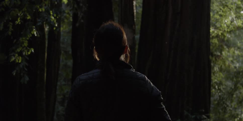 A woman looks up at tall trees in the forest