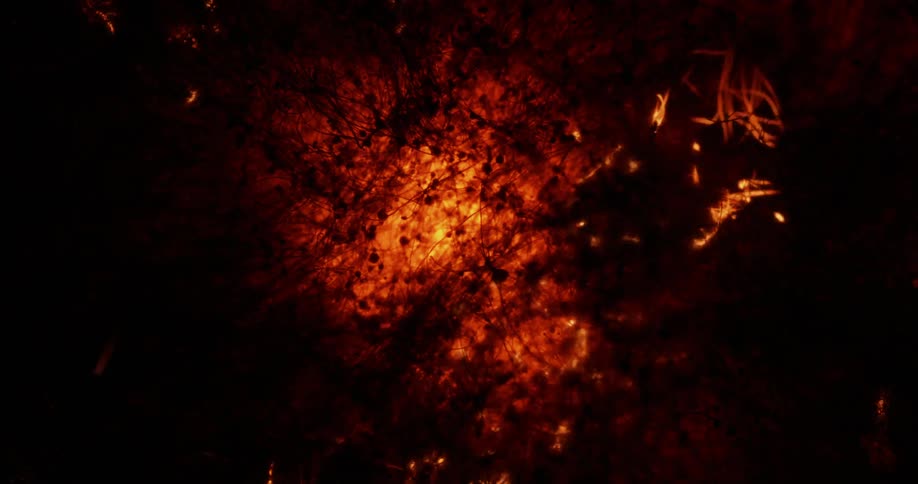 A fire burns up fibers