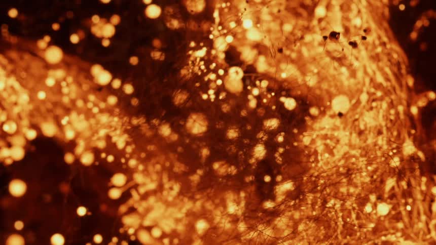 Fibers and embers burn and glow