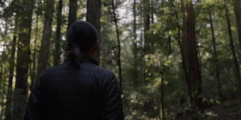 Woman in a ponytail walks through the forest