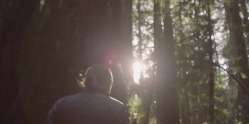 A woman walks through the forest