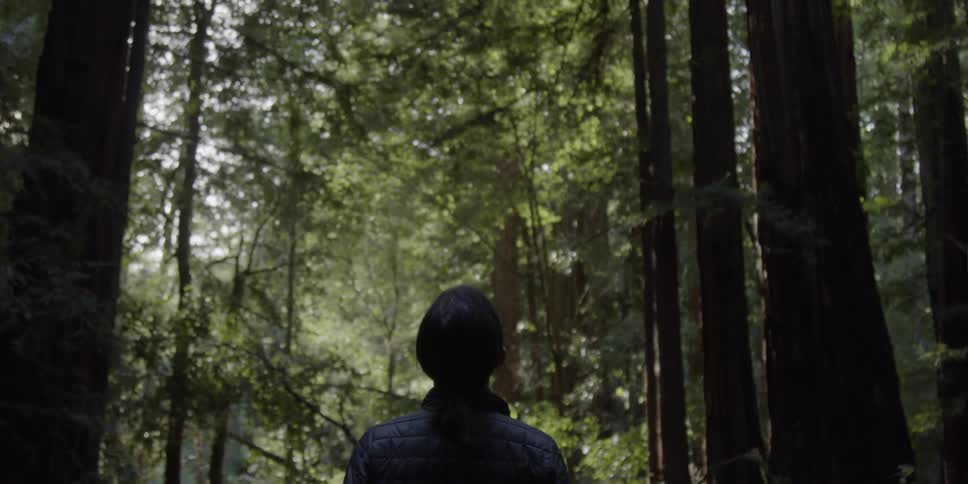 A woman is looking up at the trees in a forest in daylight