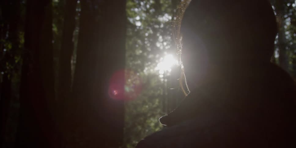 A person stands in the woods as the sun shines between the trees