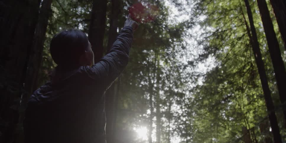 Woman points towards the tops of the tall trees in the forest