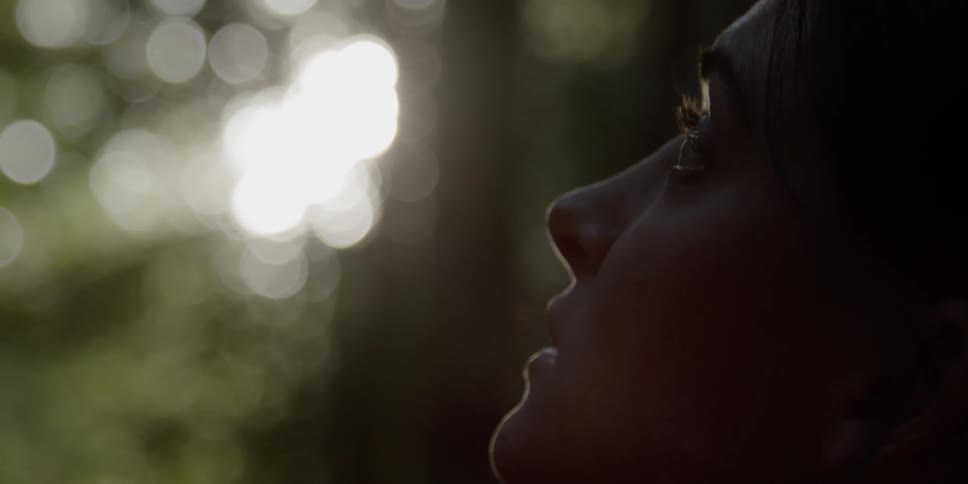 A woman is standing in a forest looking up at the trees