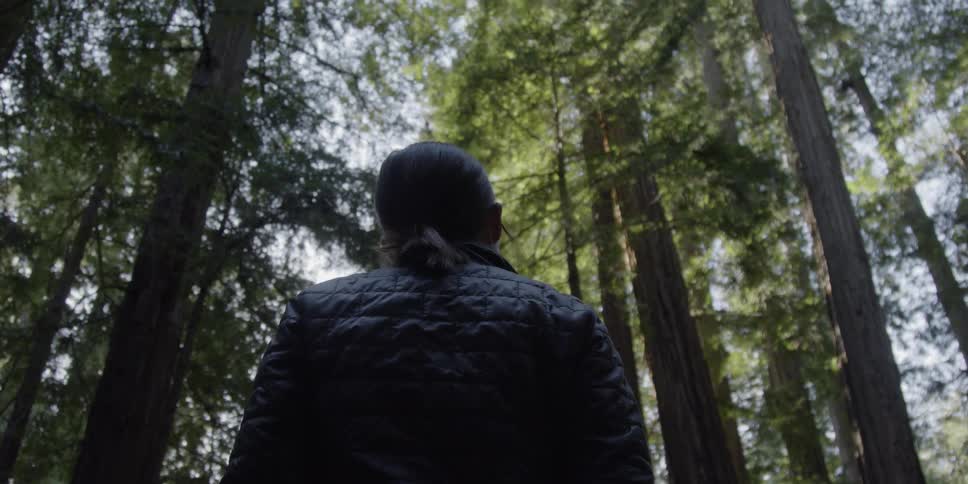 A woman looks up at tall trees in the forest