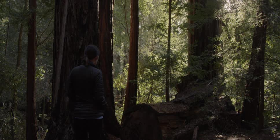 Woman walking through a thick forest in the daytime