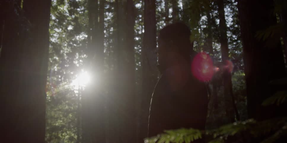 A woman is watching the sun peak through pine trees in a forest