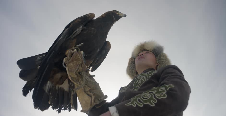 A mongolian man is removing the blinders from an eagle and letting it fly