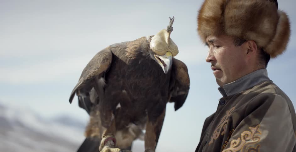 A hunter holds a hooded golden eagle