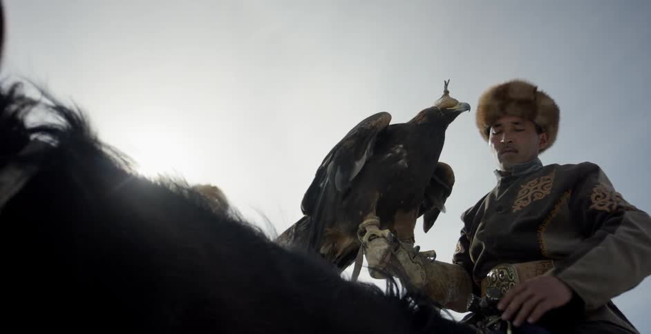 A hunter on horseback pets and soothes a hooded golden eagle