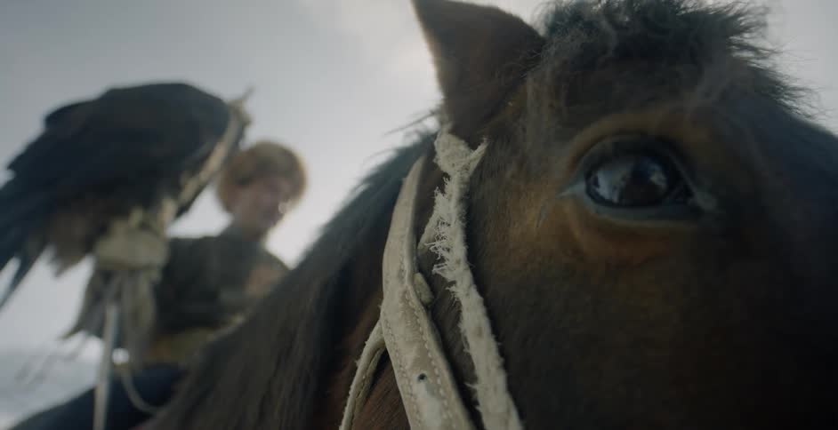 Man sits on the back of a brown horse