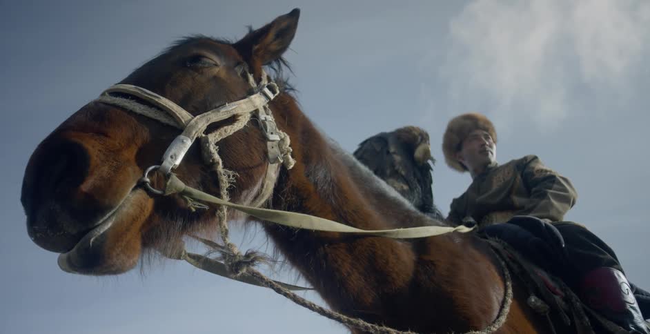 A man rides a horse with a hunting eagle