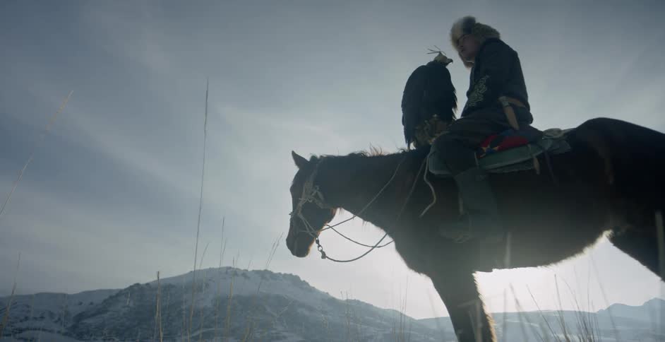 Man and large bird sit on the back of a horse