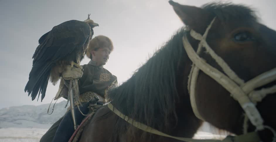 Man on a horse holds a bird of prey on his hand