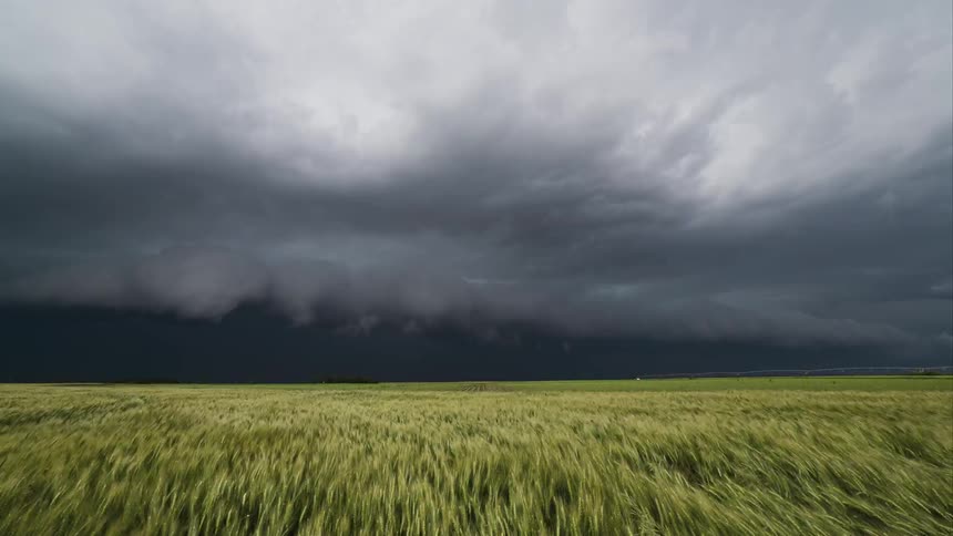 Timelapse of storm clouds passing over a field of wind-blown grass