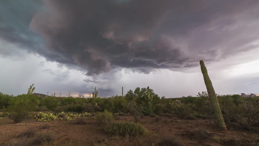 Dark storm clouds gather and move over the desert with strong winds blowing the brush and cacti