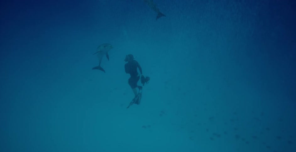 Diver swims in the water by two sharks