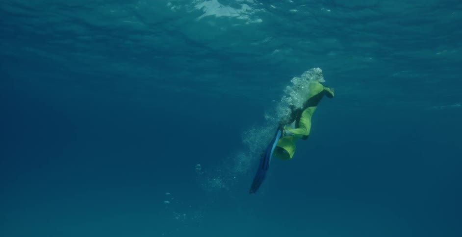 A diver swims along a dolphin filming